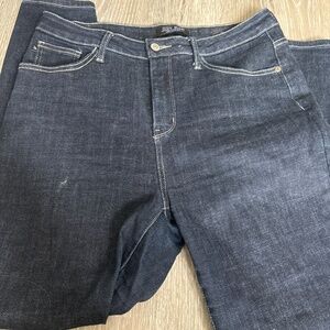 Judy Blue Skinny Fit